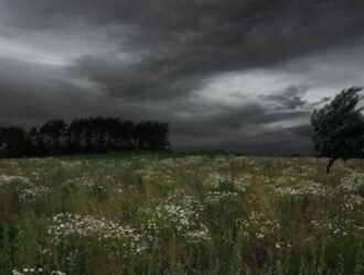 Stay Ahead of the Weather with wideWeather – Your Ultimate Live Weather Tracker and Alerts