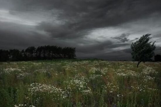 Stay Ahead of the Weather with wideWeather – Your Ultimate Live Weather Tracker and Alerts