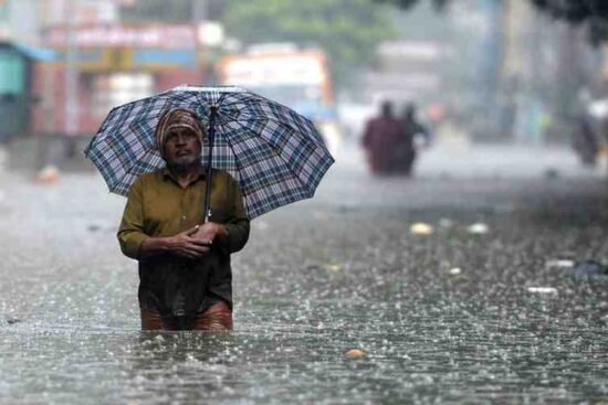 Weather Today Report with Live Updates and Local Forecast